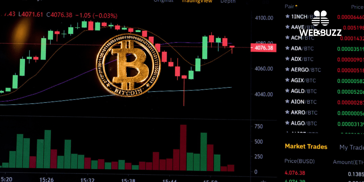 Whales Accumulate 50,000 BTC Amid Market Downturn